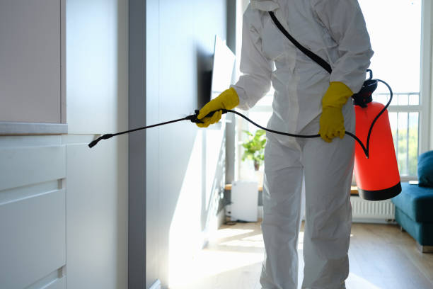 Best Mold Remediation for Specific Building Types in Bowman, ND
